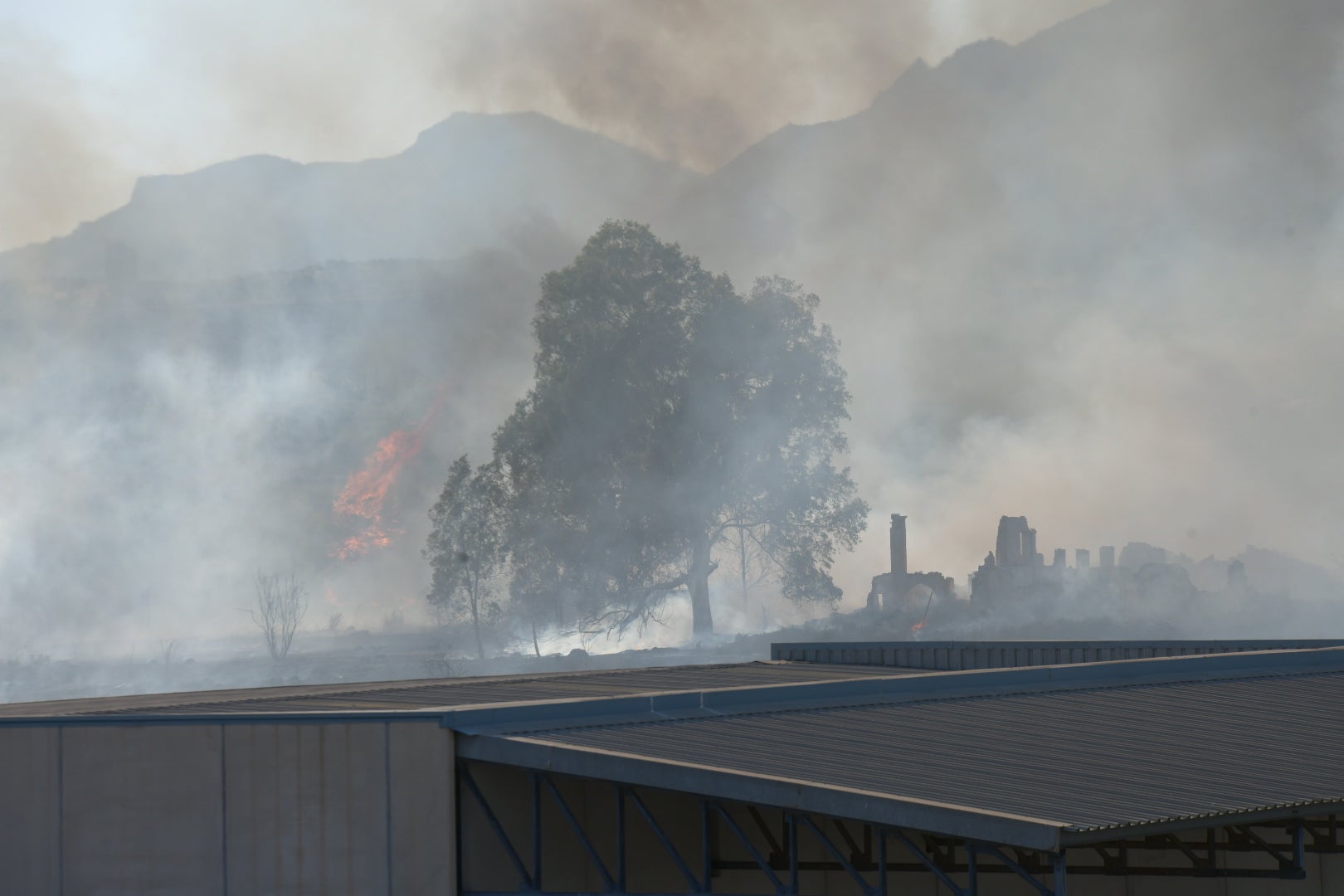 El incendio forestal de Alicante, en imágenes
