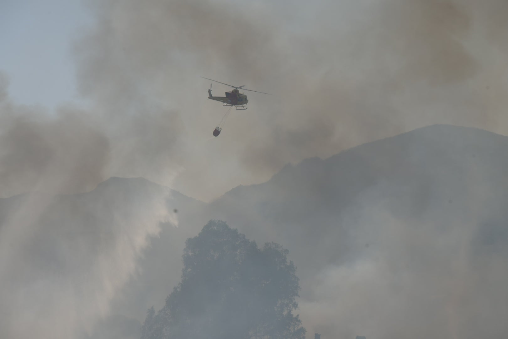 El incendio forestal de Alicante, en imágenes