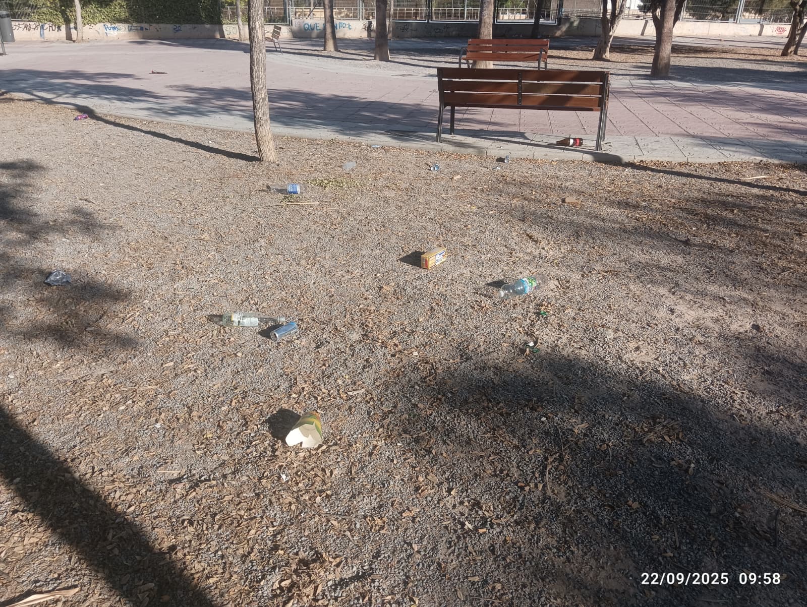 Imagen secundaria 1 - Un botellón continuo frente a un colegio de Alicante