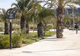 La UMH acerca la ciencia a la ciudadanía con charlas, talleres y actividades en la provincia.