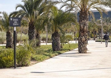 La UMH celebra la Noche Europea de las Investigadoras 2025 con ciencia, música y talleres