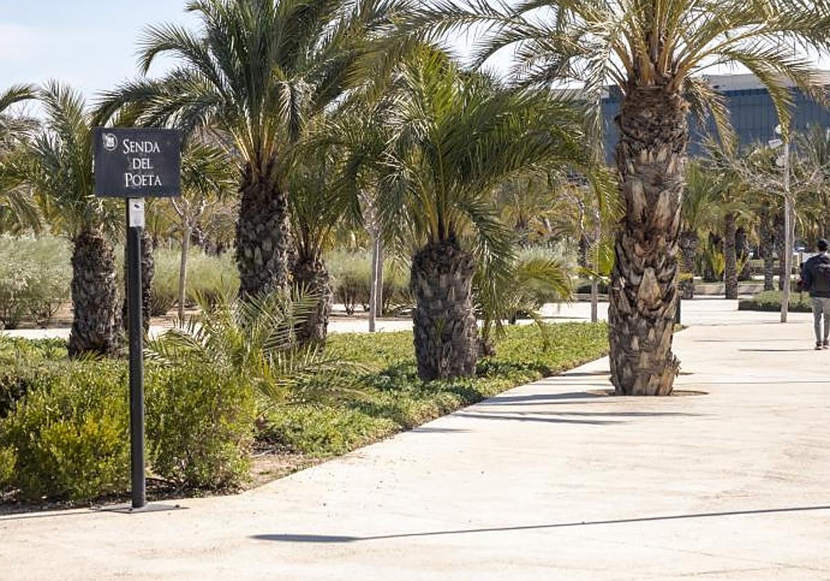 La UMH acerca la ciencia a la ciudadanía con charlas, talleres y actividades en la provincia.