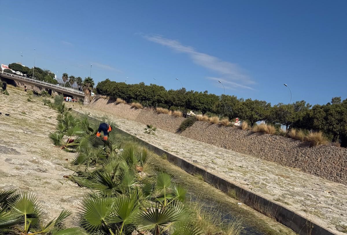 Alicante limpia el barranco que va desde Santa Faz a la playa de la Albufereta para evitar inundaciones por lluvias torrenciales