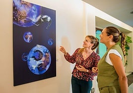 La exposición 'Un mosaico de estilos frente al Mediterráneo' reúne a los artistas de Montíboli Cultural.