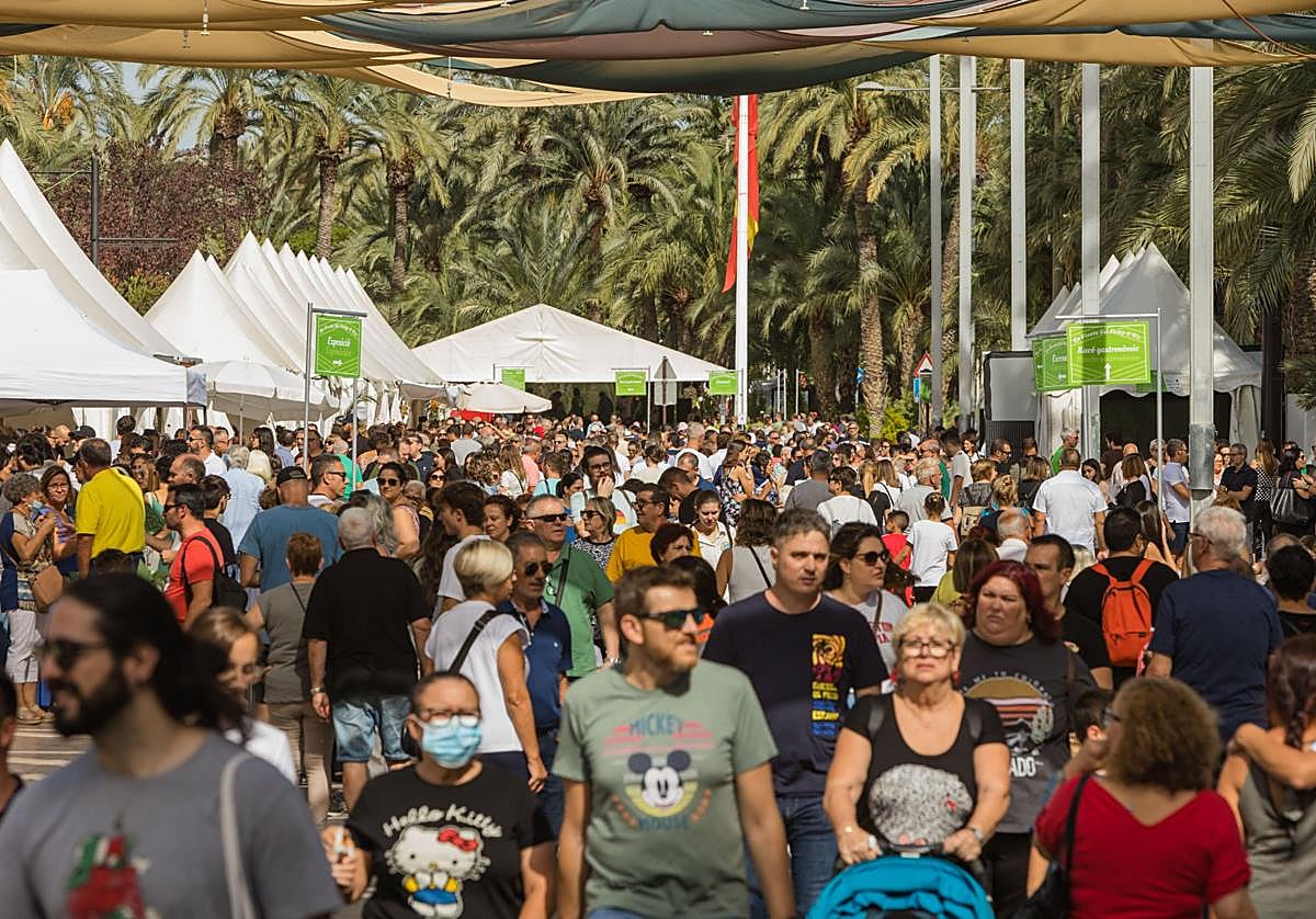 Edición pasada de la Fireta del Camp d'Elx.