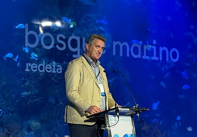 El conseller de Medio Ambiente, Vicente Martínez Mus.