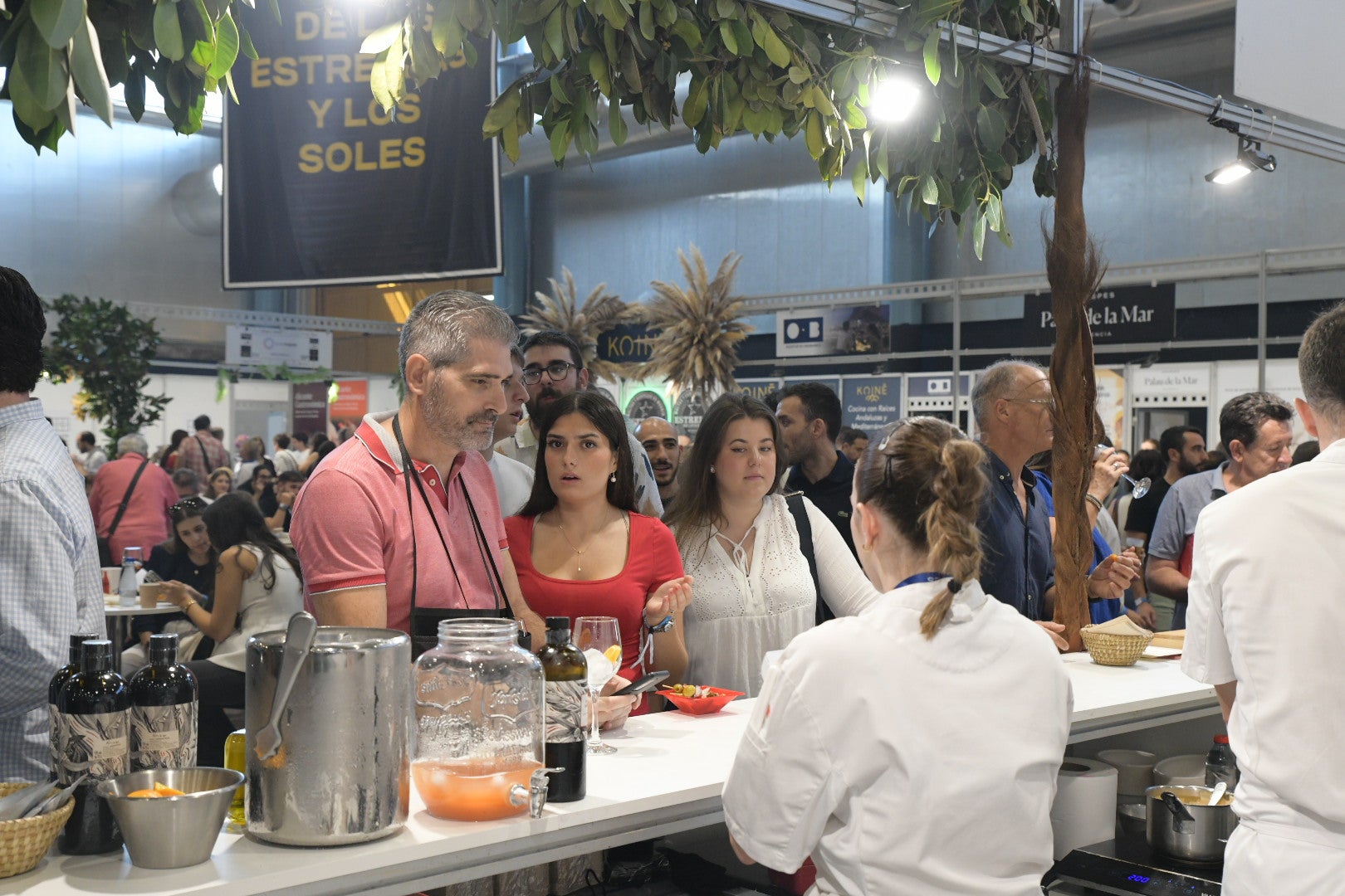 Un paseo entre Soles y Estrellas en Alicante