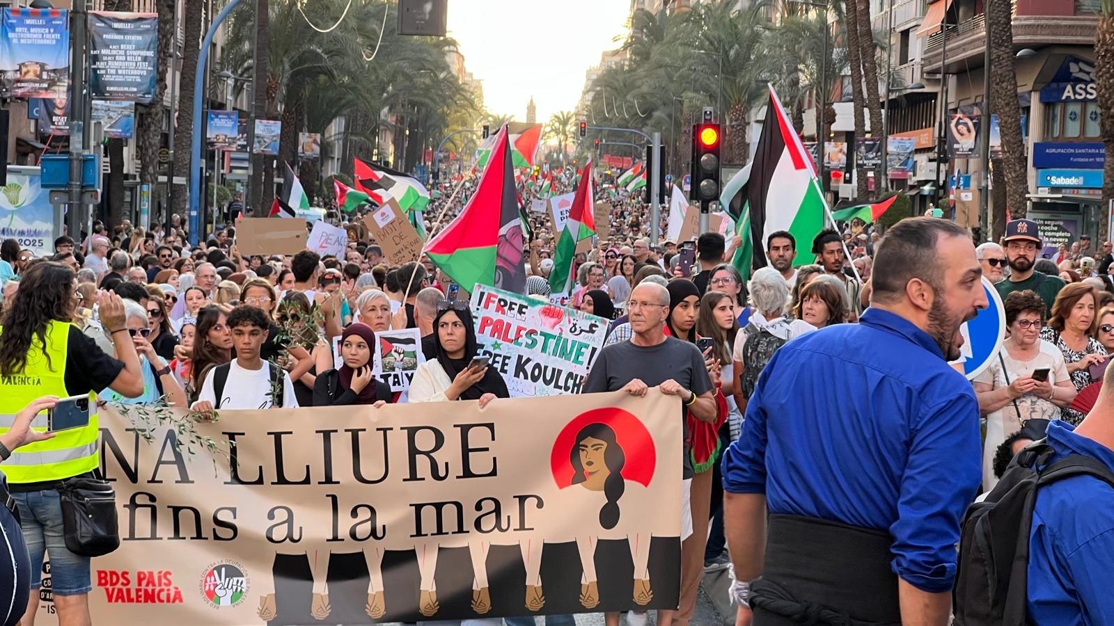 Cerca de 6.000 personas piden desde Alicante el cese del conflicto en Gaza