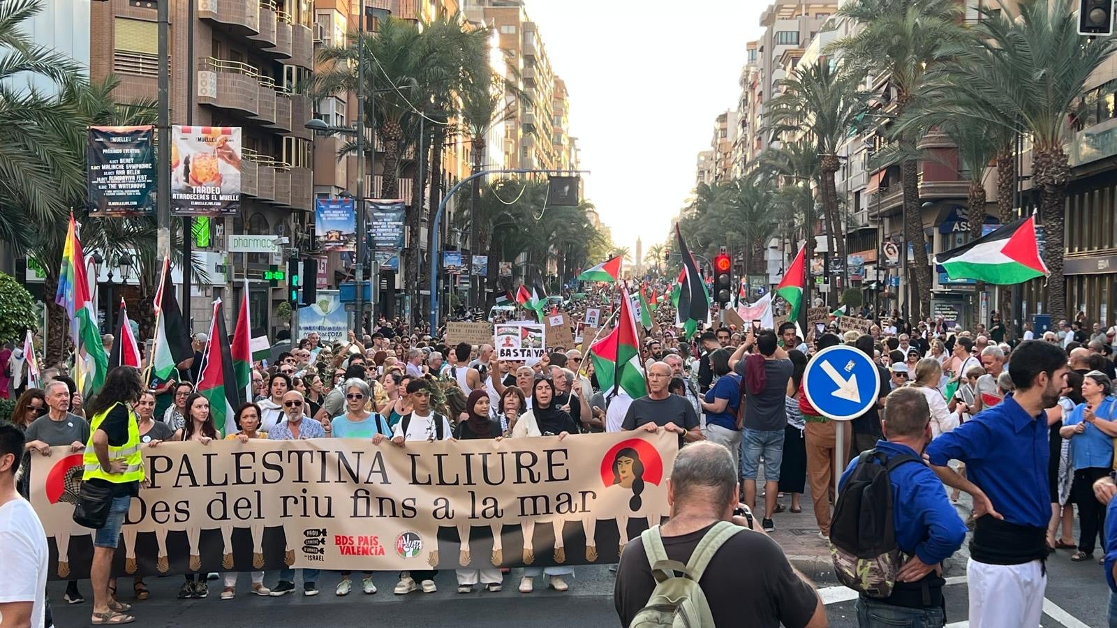 Cerca de 6.000 personas piden desde Alicante el cese del conflicto en Gaza
