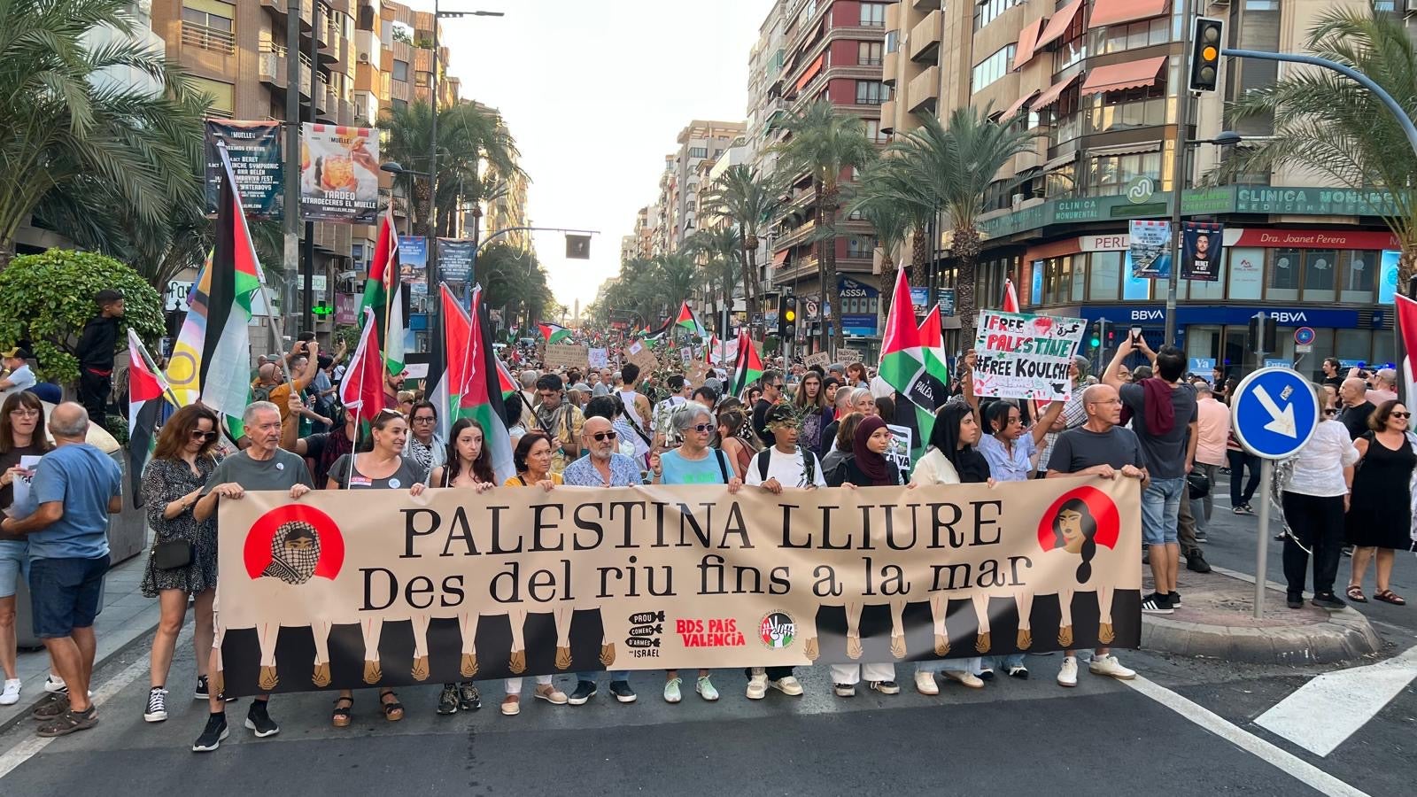 Cerca de 6.000 personas piden desde Alicante el cese del conflicto en Gaza