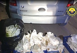 Uva embolsada recuperada.