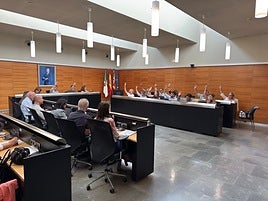 Sesión del Pleno de San Vicente.