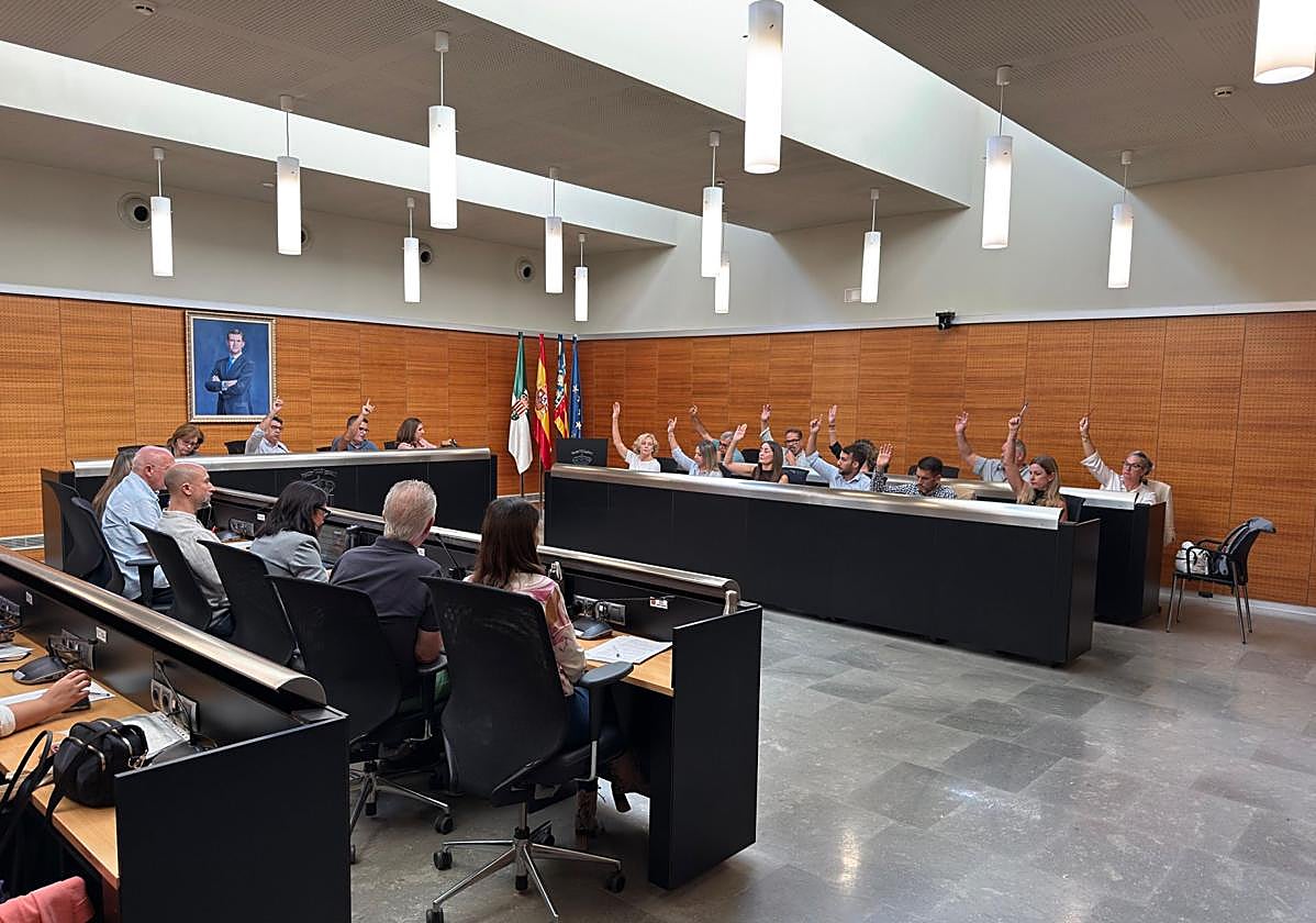 Sesión del Pleno de San Vicente.