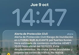 ES-Alert recibido en Alicante este jueves.