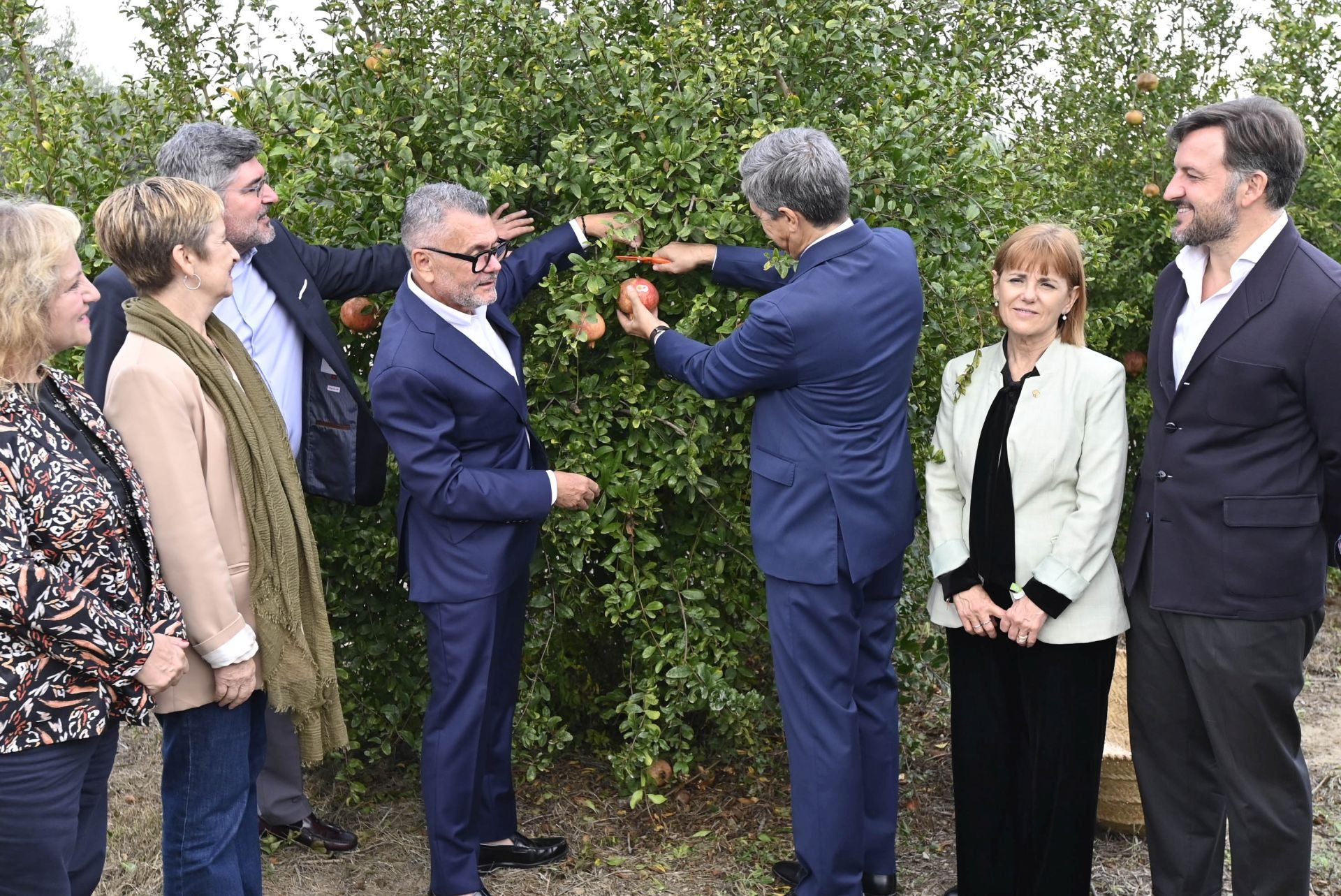 Symbolic cutting of the DOP Mollar Pomegranate of Elche campaign.