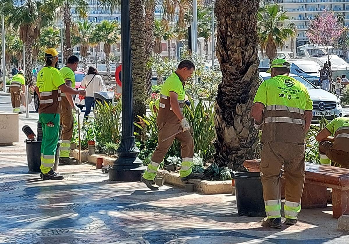 Parks and Gardens workers during the spring planting at the Explanada.