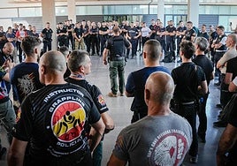 Más de 200 profesionales asistieron al I Congreso Internacional de Grappling Policial y Militar celebrado en Elche.