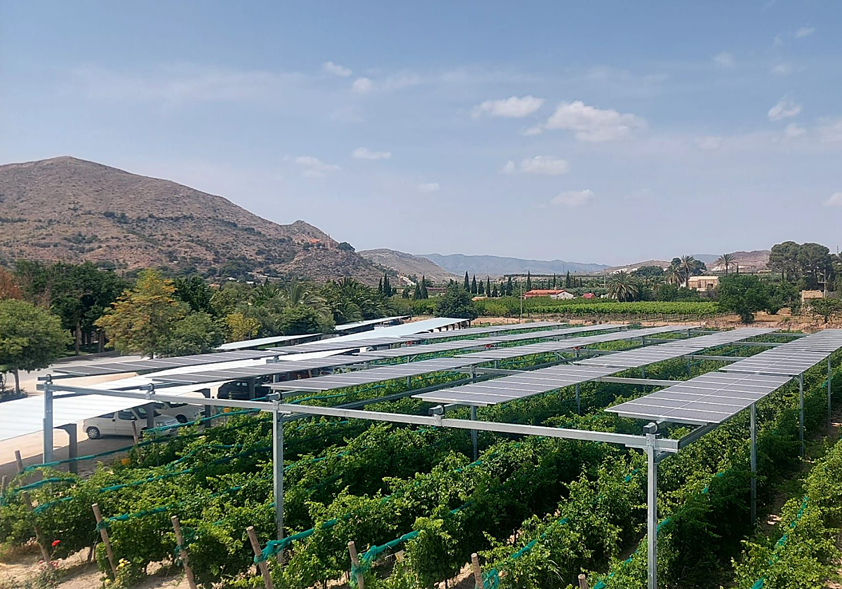 integración de la energía fotovoltaica en el cultivo de la vid.