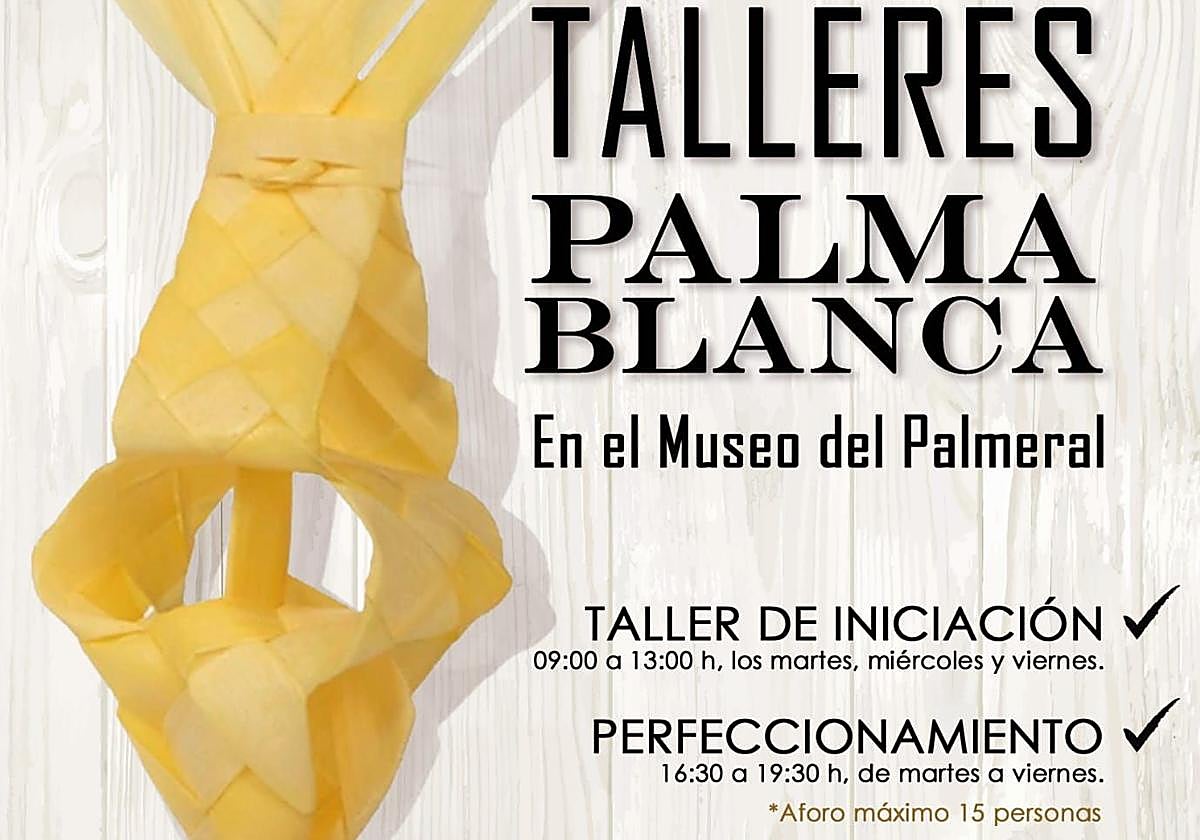 Los talleres de palma blanca regresan al Museo del Palmeral para preservar una de las tradiciones más emblemáticas de Elche.