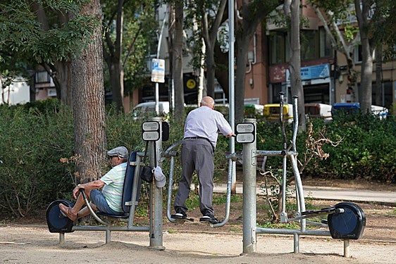 Jubilados hacen ejercicio en un parque.