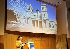 La responsable de la Unidad de Didáctica, Accesibilidad y Responsabilidad Social del museo de la Diputación de Alicante expone en Barcelona su propuesta.