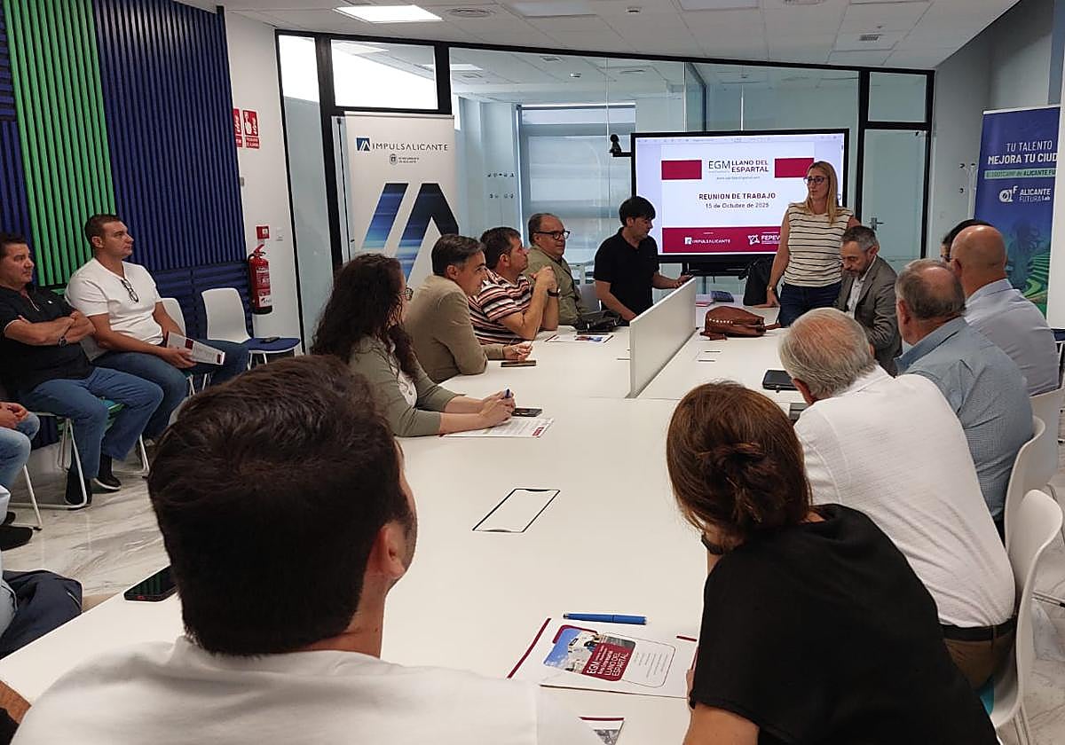 Meeting of entrepreneurs with Councillor Mari Carmen de España.