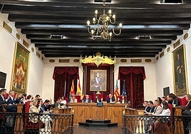 Pleno del Ayuntamiento de Elche.