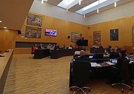 Imagen del pleno celebrado hoy en Benidorm