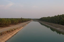 Canal del trasvase Tajo-Segura.