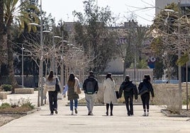 La UMH lanza una nueva edición de sus Cursos de Invierno con 43 propuestas formativas.