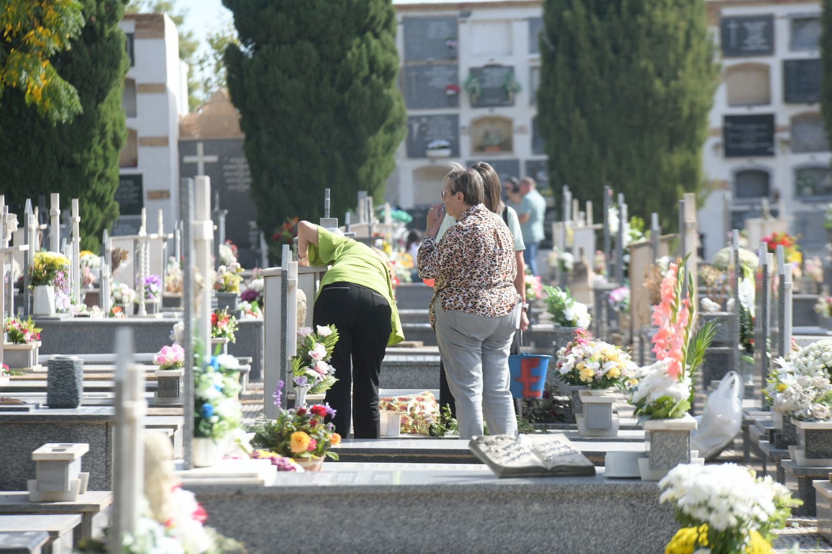 Las flores llenan el cementerio de Alicante en recuerdo de los difuntos