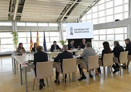 Pleno del Consell, reunido este viernes.