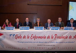 Imagen de la II Gala de la Enfermería de la Provincia de Alicante.