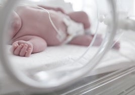 La edad materna avanzada es la primera causa de infertilidad.