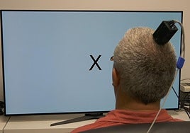 Los investigadores trabajan con prótesis visuales basadas en implantes cerebrales.