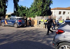 La operación policial desarrollada este viernes.