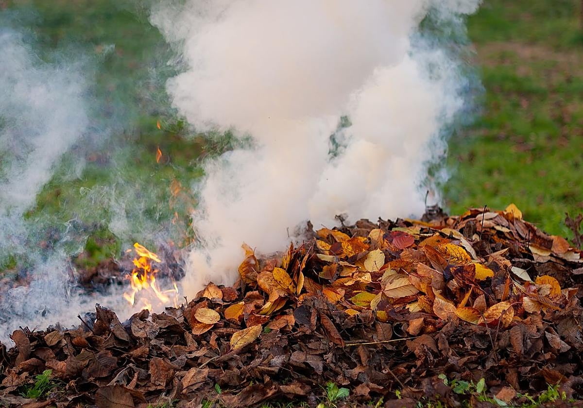 Villena's new Agricultural Burning Plan aims to reduce risks and simplify procedures for farmers.