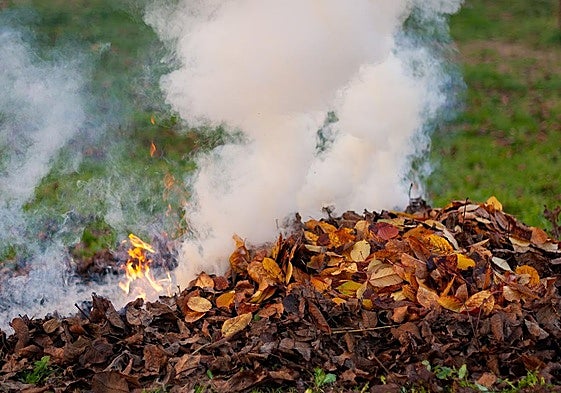 El nuevo Plan de Quemas Agrícolas de Villena busca reducir riesgos y simplificar los trámites para agricultores.