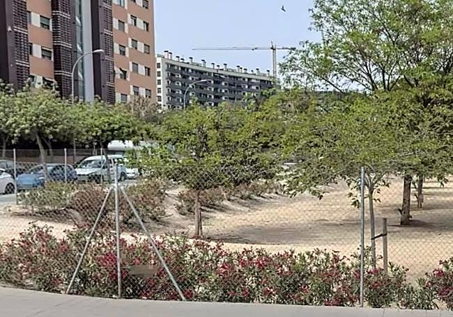 Solar de la avenida Médico Ricardo Ferre, en el Pau 1.