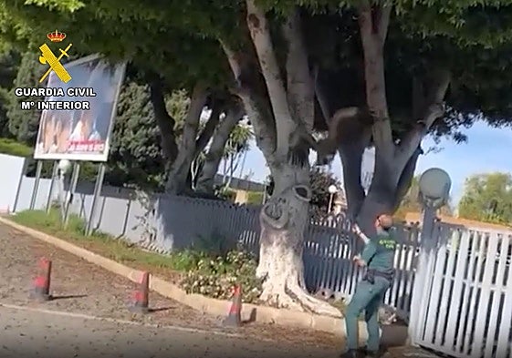 Rescate del buitre junto al aeropuerto.