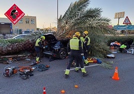 Los bomberos atienden el siniestro en Torrevieja.