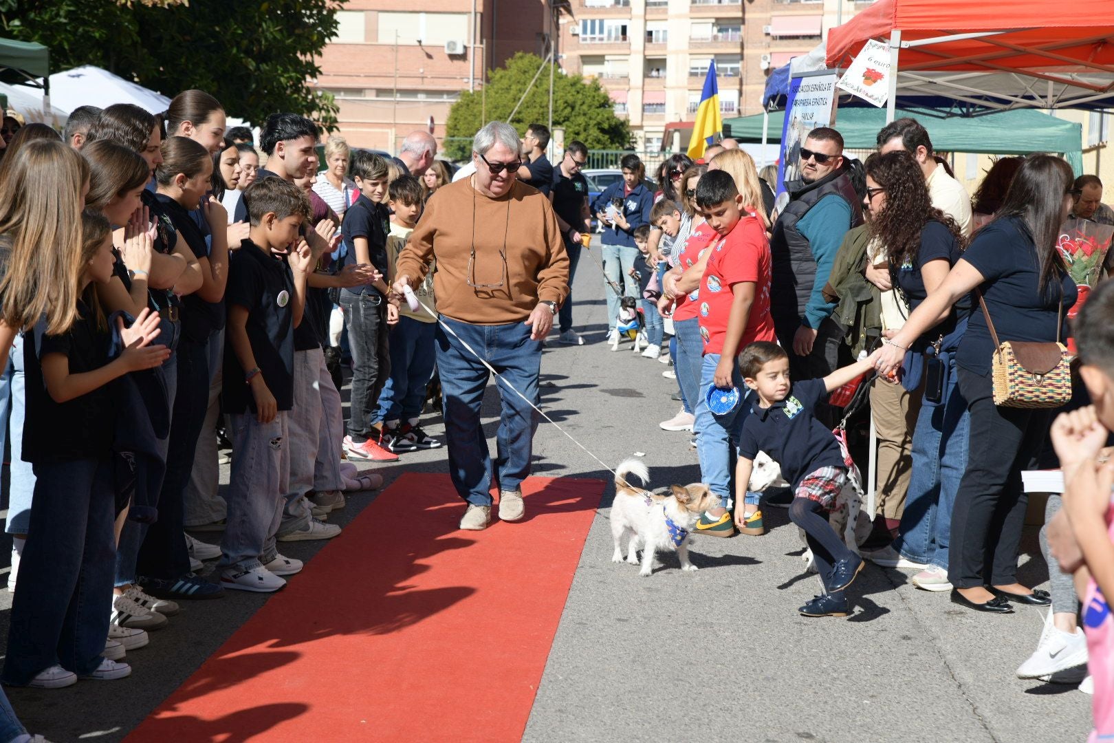 La Navidad se adelanta en Alicante en forma de mercadillo solidario