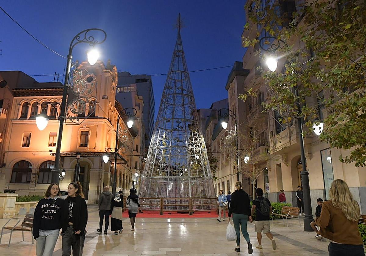 Árbol gigante en la avenida de la Constitución de Alicante.