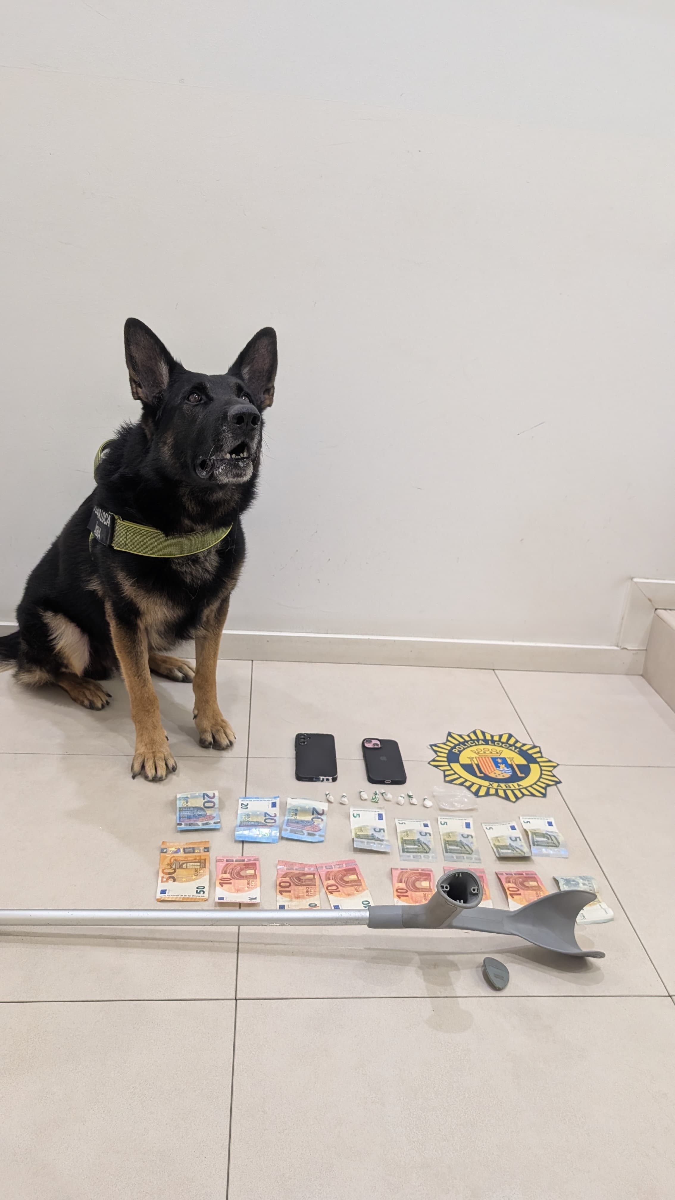 Officer 'Kosmo' with the seized stash.