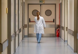 Satse ha puesto en marcha en el marco del Día Internacional de la Eliminación de la Violencia contra la Mujer.