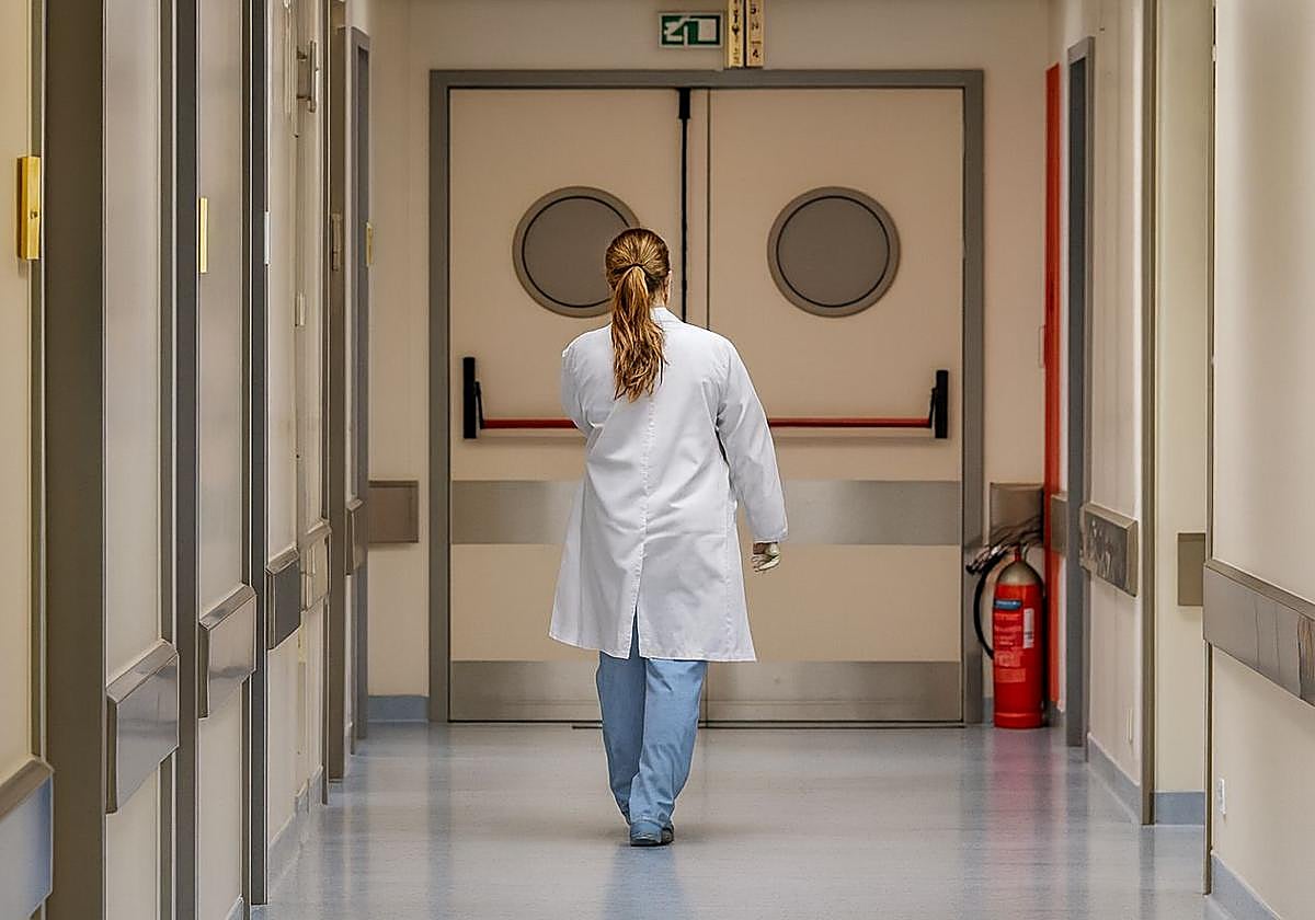 Satse ha puesto en marcha en el marco del Día Internacional de la Eliminación de la Violencia contra la Mujer.