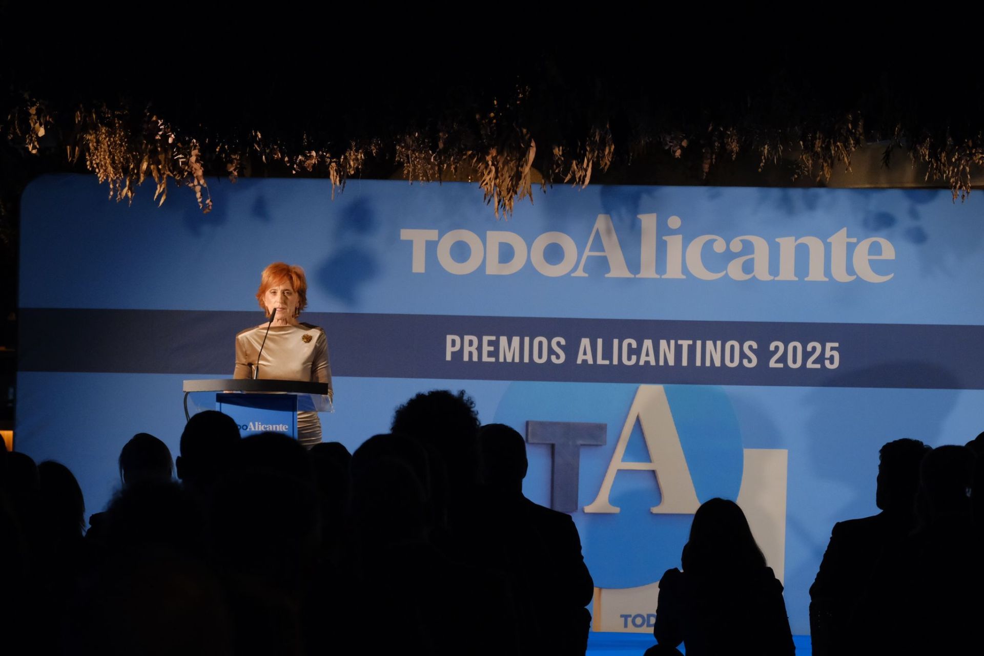 Alicante brilla: así ha sido la gran noche de los Premios Alicantinos