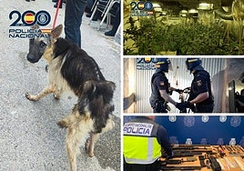 Dispositivo en Orihuela contra el tráfico de drogas.