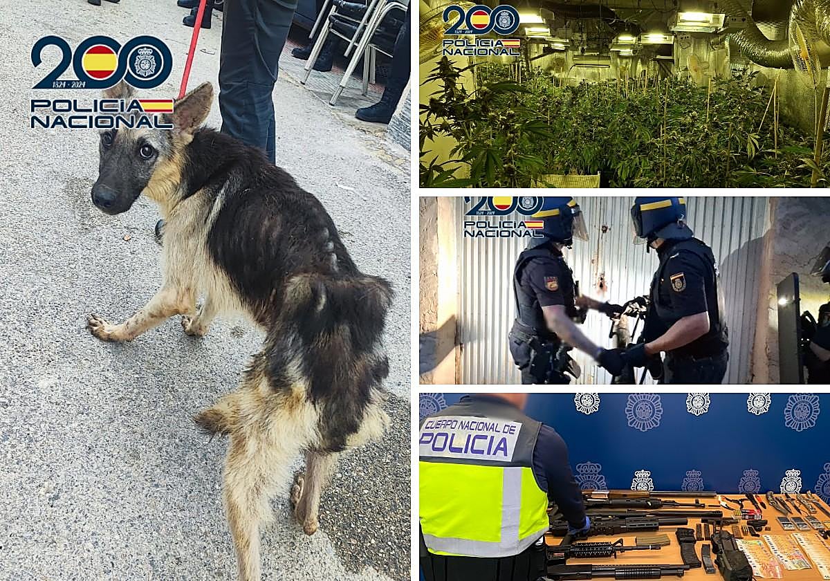 Dispositivo en Orihuela contra el tráfico de drogas.