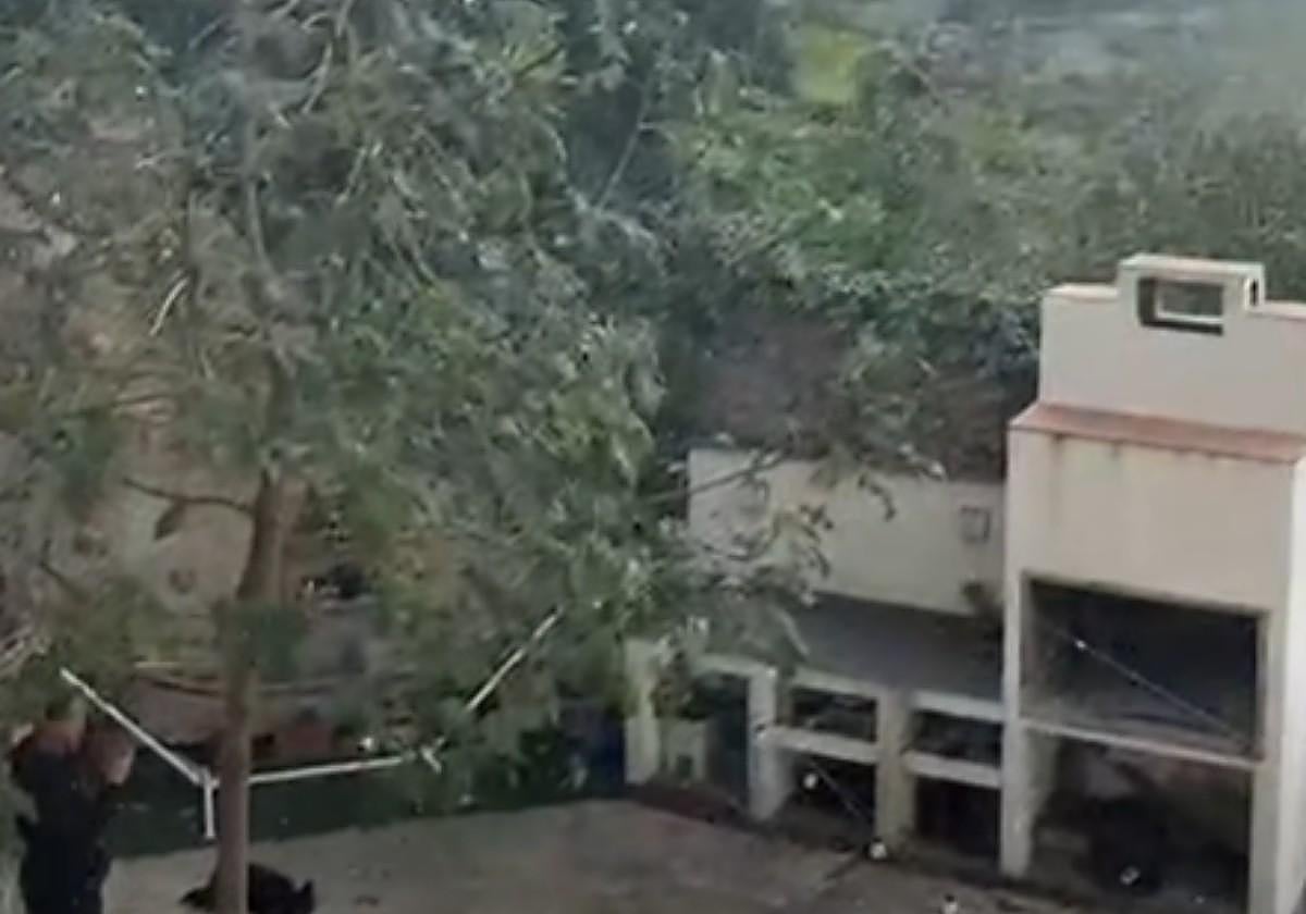 Primeros copos de nieve en Agres.